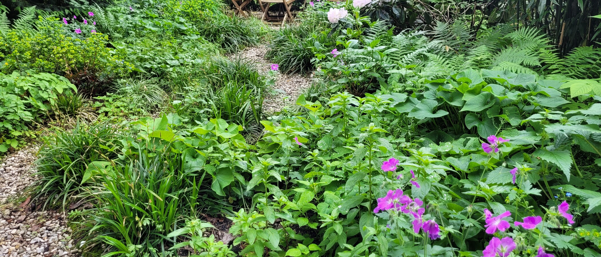 appartamento München Altbogenhausen 02 giardino condiviso 13119