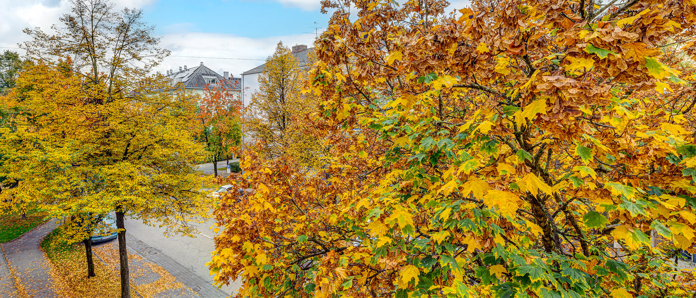 appartamento München Thalkirchen 01 vista 13192