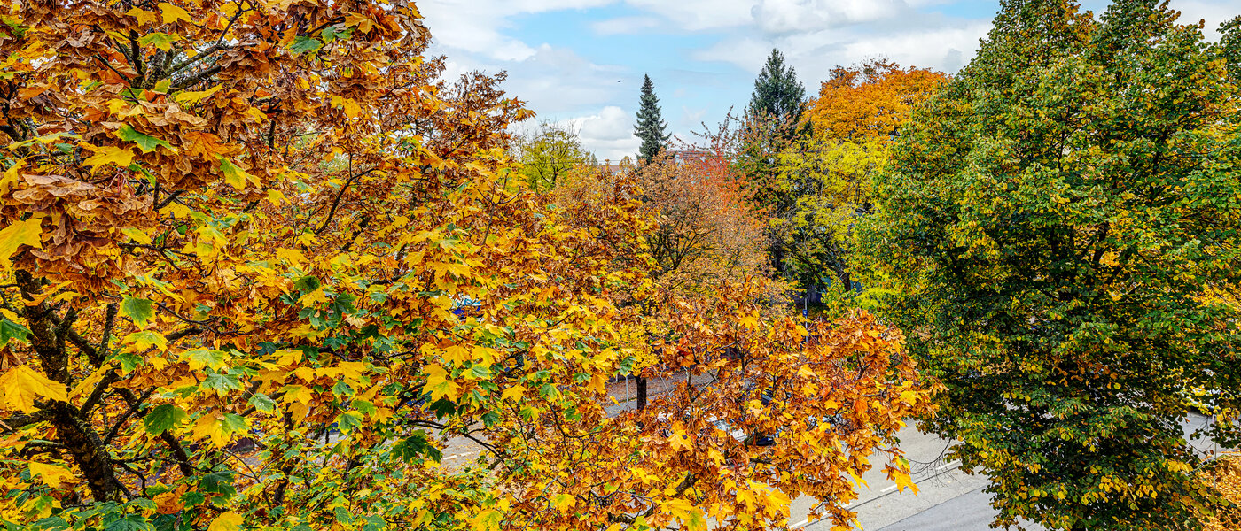 appartamento München Thalkirchen 04 vista 13192