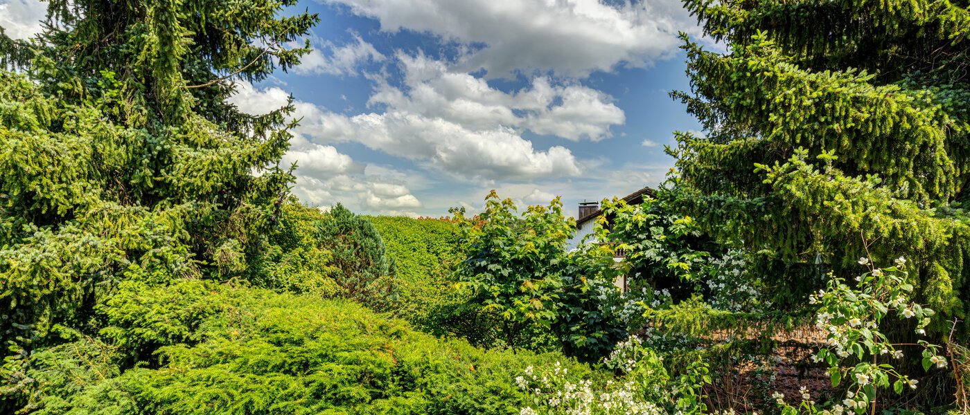 attico Inning am Ammersee 03 vista 13224