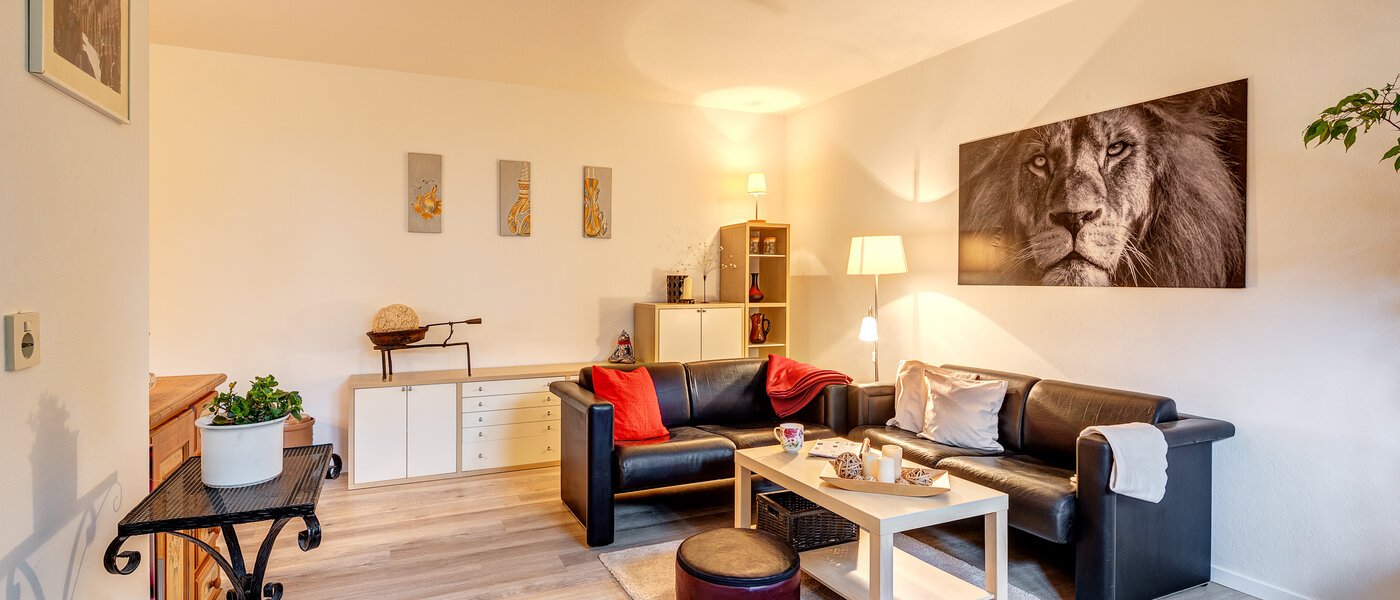 al momento non disponibile