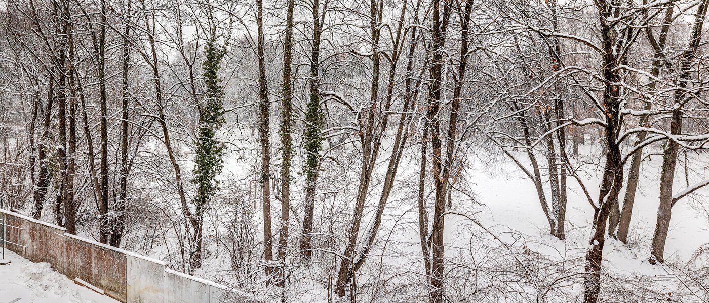 attico München Giesing 01 vista 13269