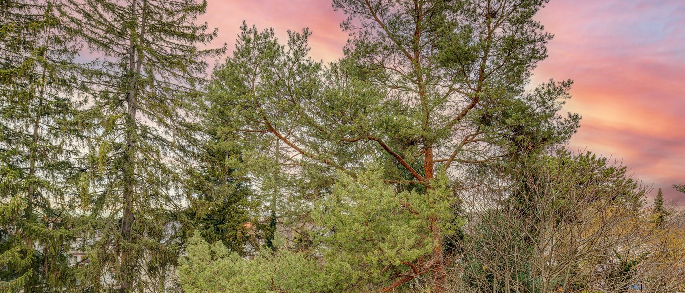 attico con terrazzo München Moosach 03 vista 13292