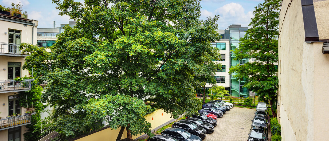 appartamento München Lehel 03 vista 13583