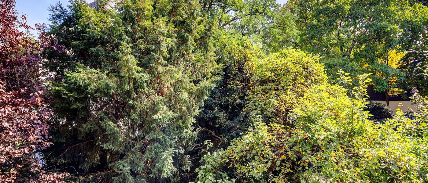 appartamento München Altbogenhausen 04 vista 13633