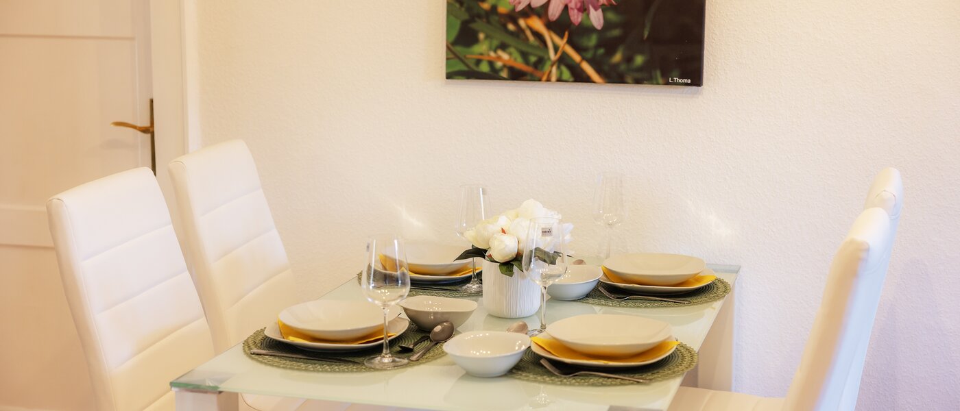 attico München Nymphenburg 04 ingresso/corridioio 13654