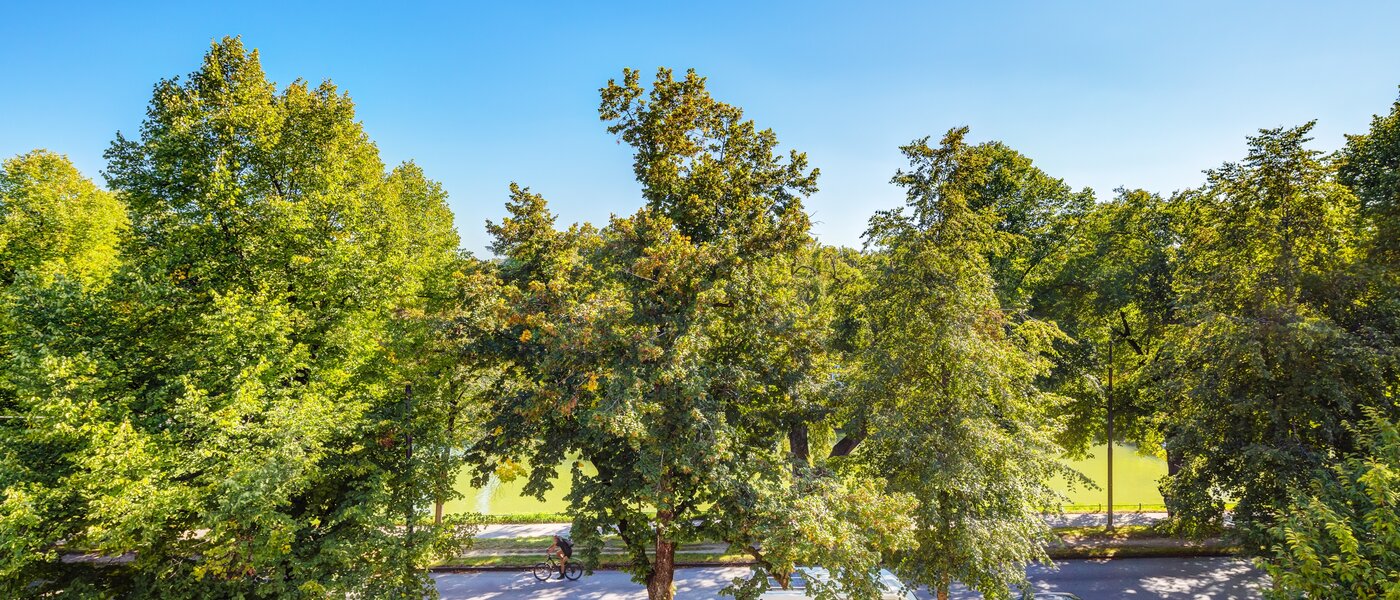 attico München Nymphenburg 01 vista 13654