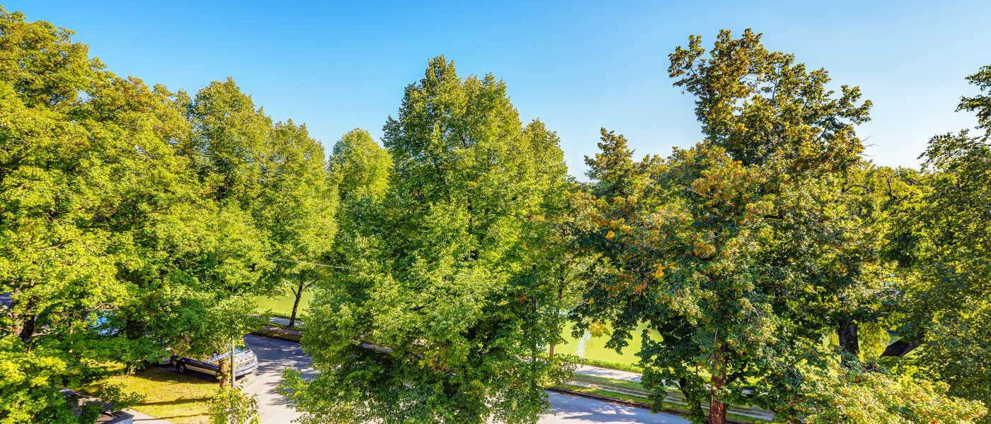 attico München Nymphenburg 02 vista 13654