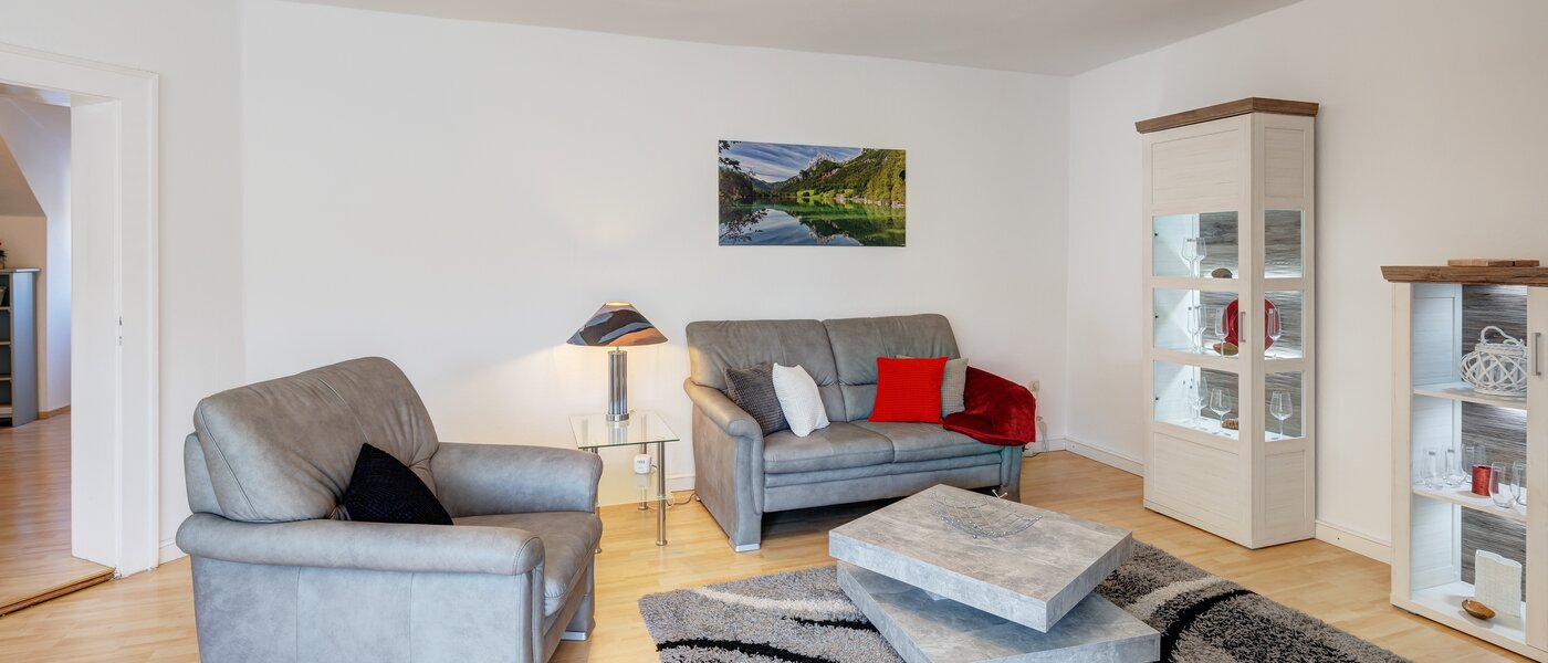 attico München Nymphenburg 04 zona living 13654