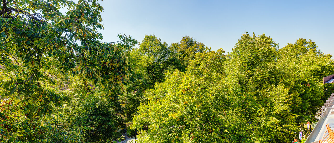 attico con terrazzo München Ramersdorf 04 vista 13657