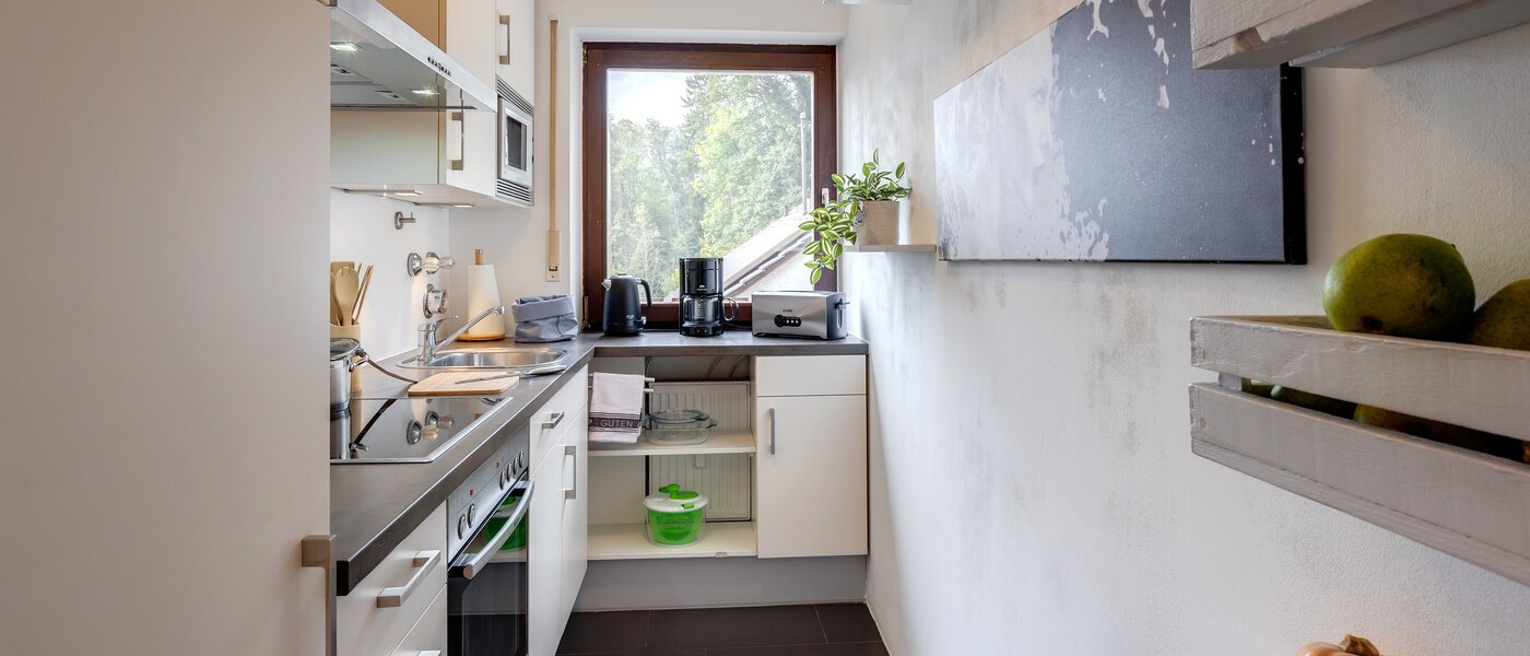 attico Eching 01 cucina 13716