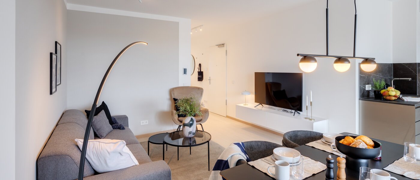 appartamento München Haidhausen 03 zona living 13880