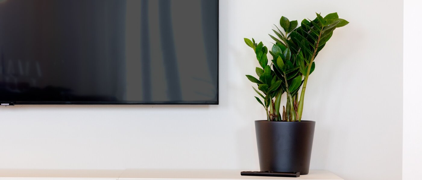 appartamento München Haidhausen 04 zona living 13881