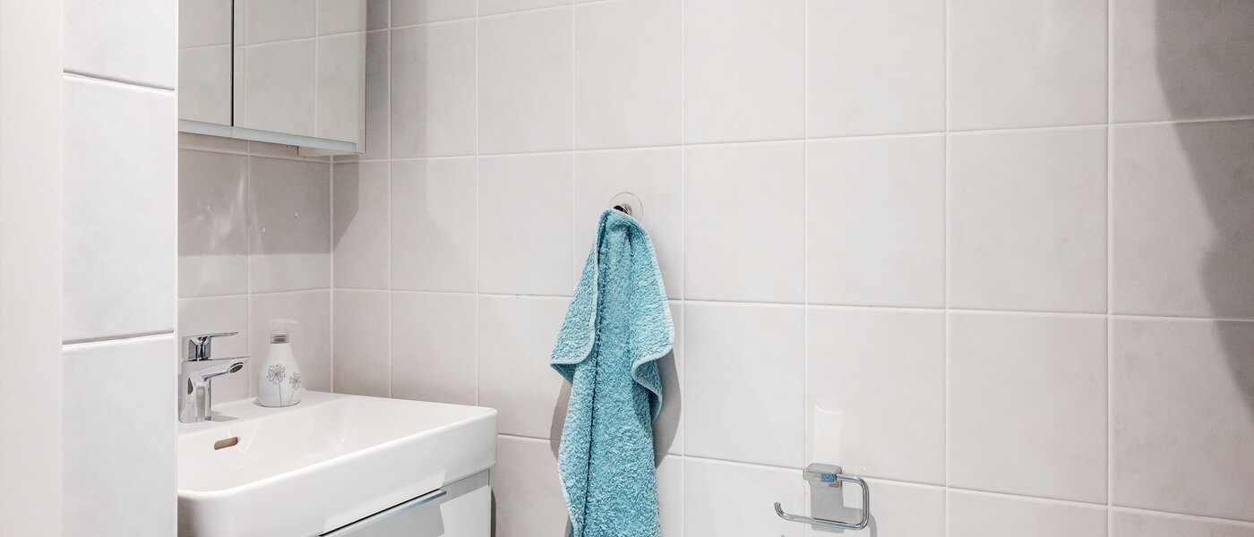 appartamento Gmund am Tegernsee 03 bagno 13882