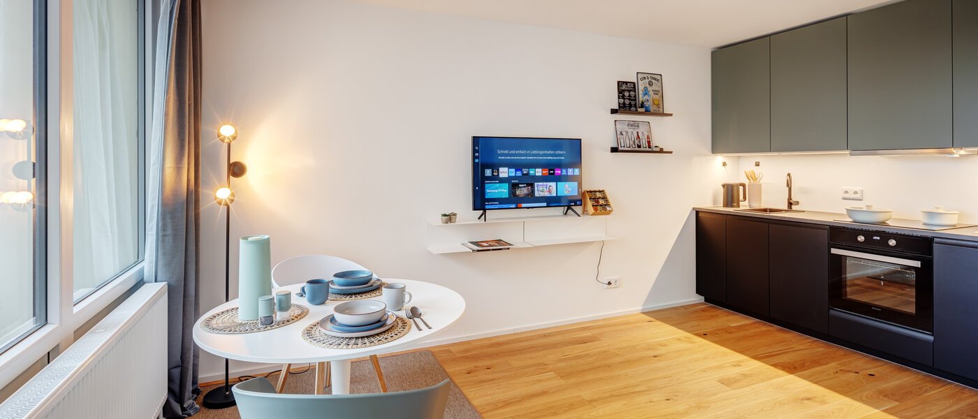 appartamento München Obergiesing 04 zona living 13886