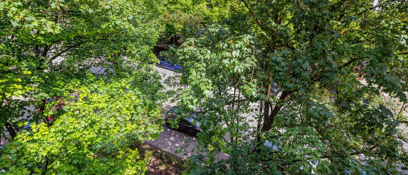 appartamento München Lehel 02 vista 13986