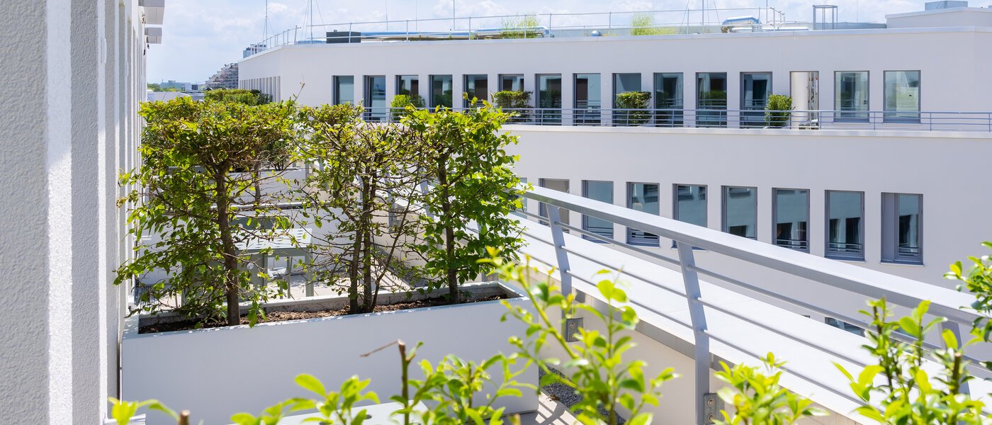 abitazione Unterföhring 02 terrazza sul tetto 14034