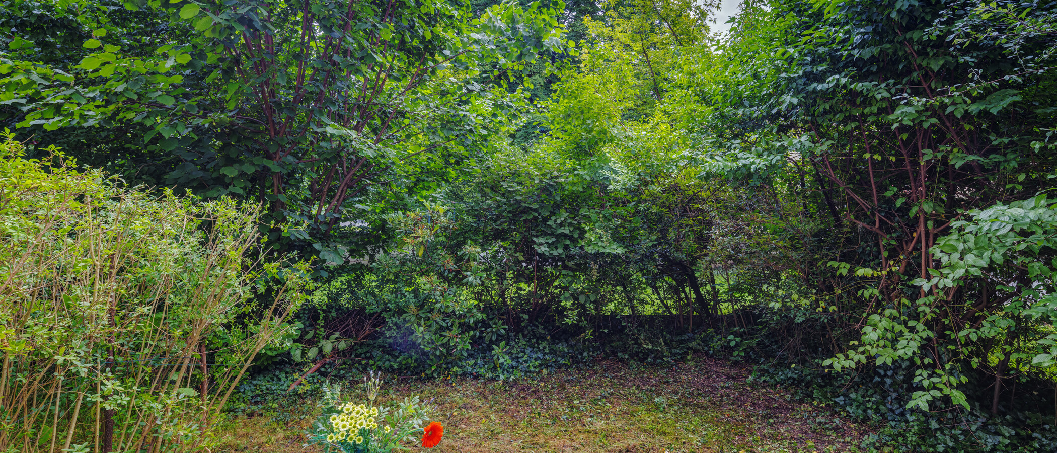 abitazione München Schwabing 03 giardino 14061