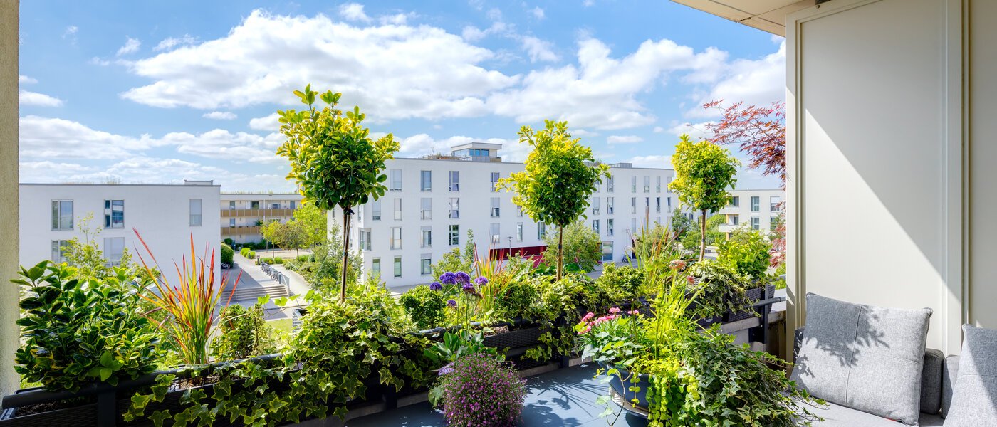 al momento non disponibile