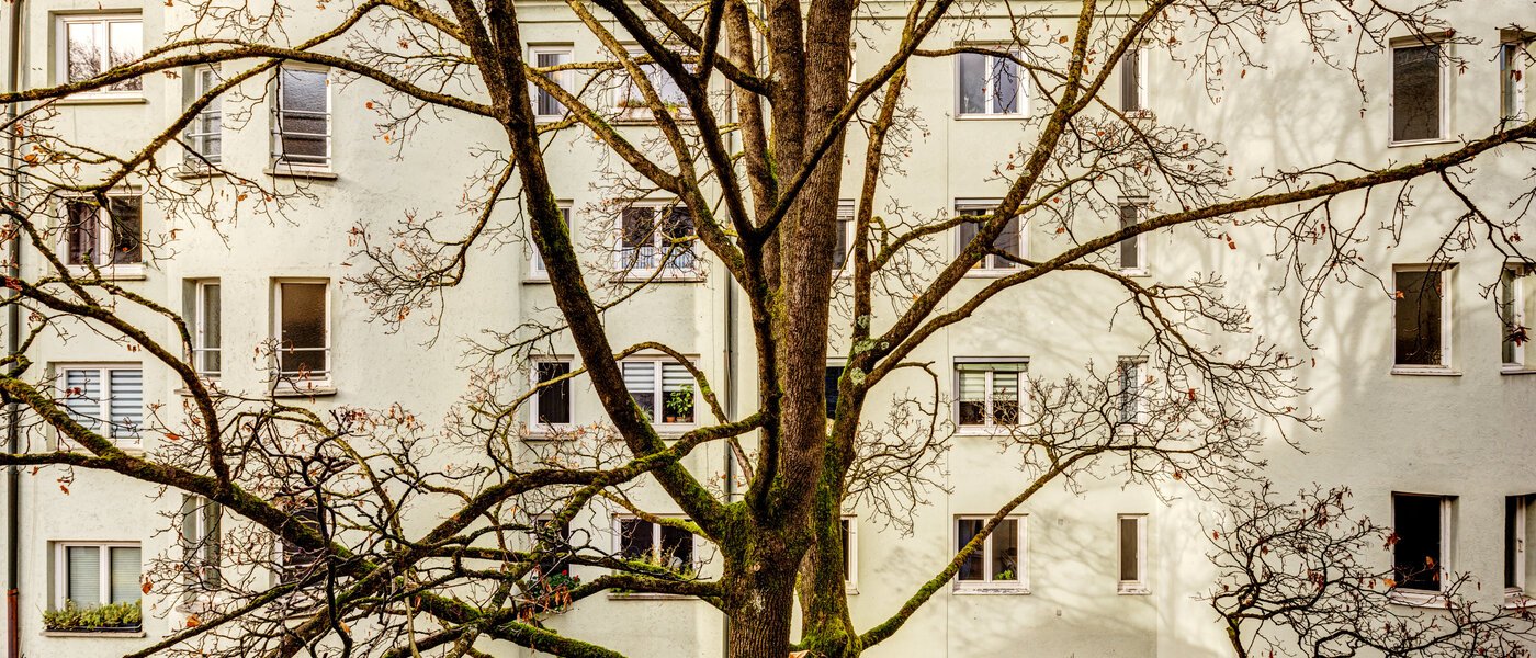 appartamento München Lehel 04 vista 14254