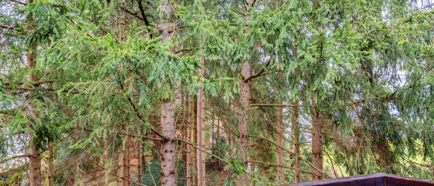 appartamento Ottobrunn 01 vista 14267