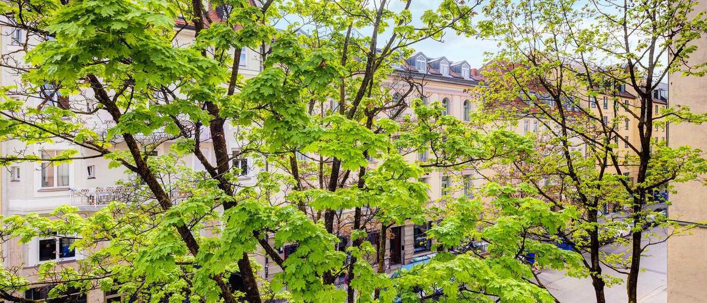 abitazione München Maxvorstadt 02 vista 14371