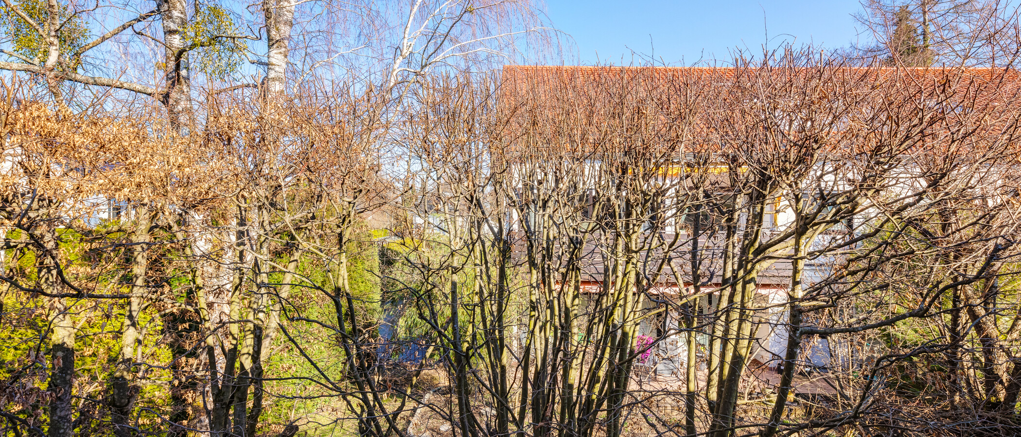 casa a schiera Pullach im Isartal 05 vista 14381