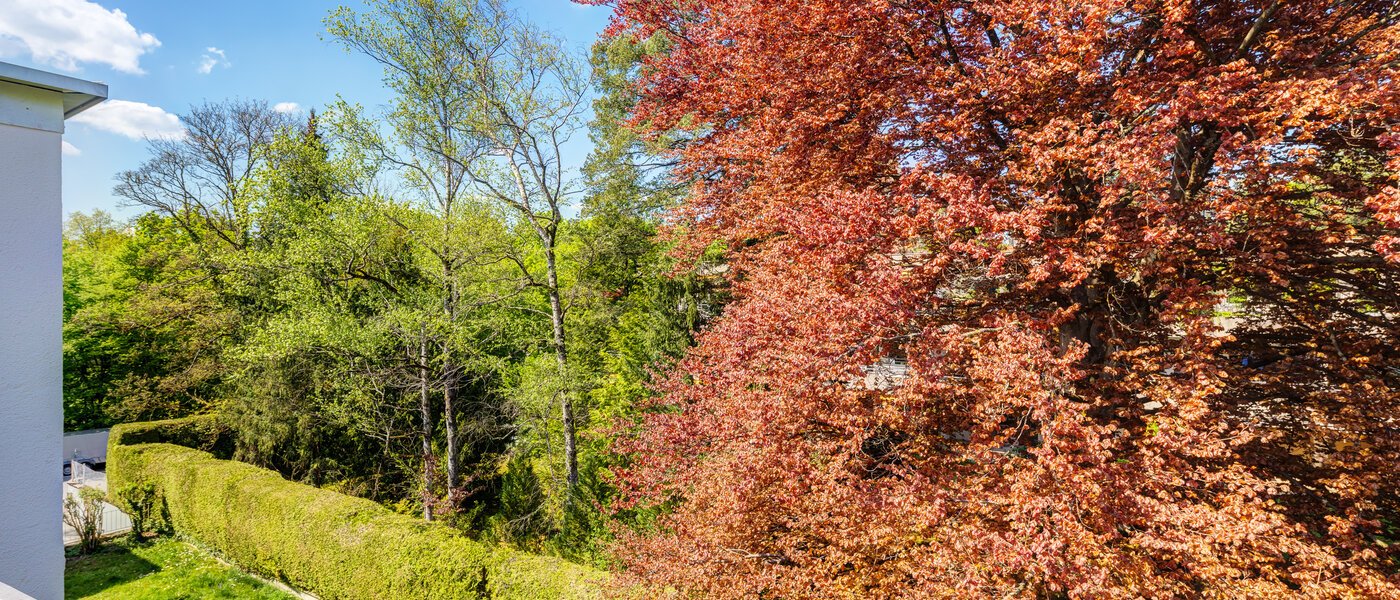 attico con terrazzo München Solln 03 vista 14396