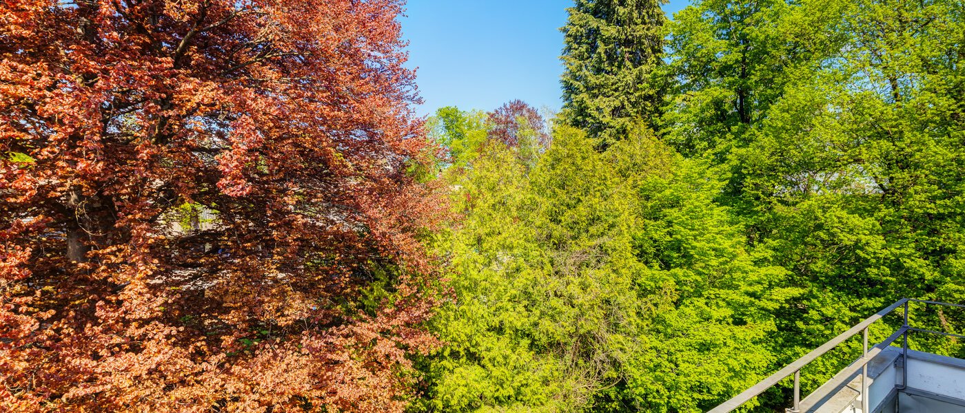 attico con terrazzo München Solln 04 vista 14396