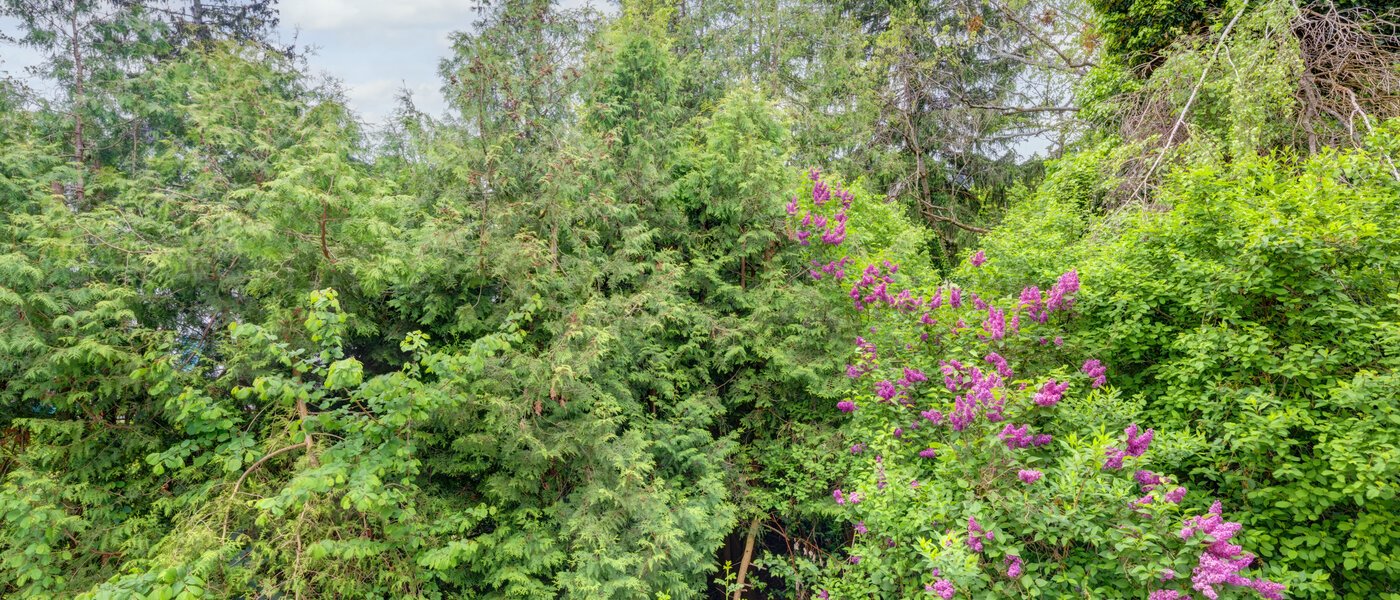 appartamento München Thalkirchen 01 vista 14439