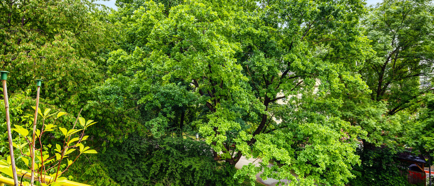 appartamento München Sendling 01 vista 14453