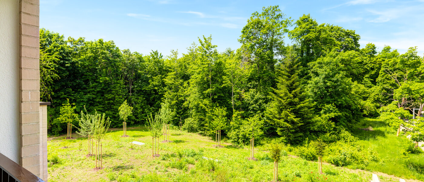 appartamento Haar 01 vista 14460