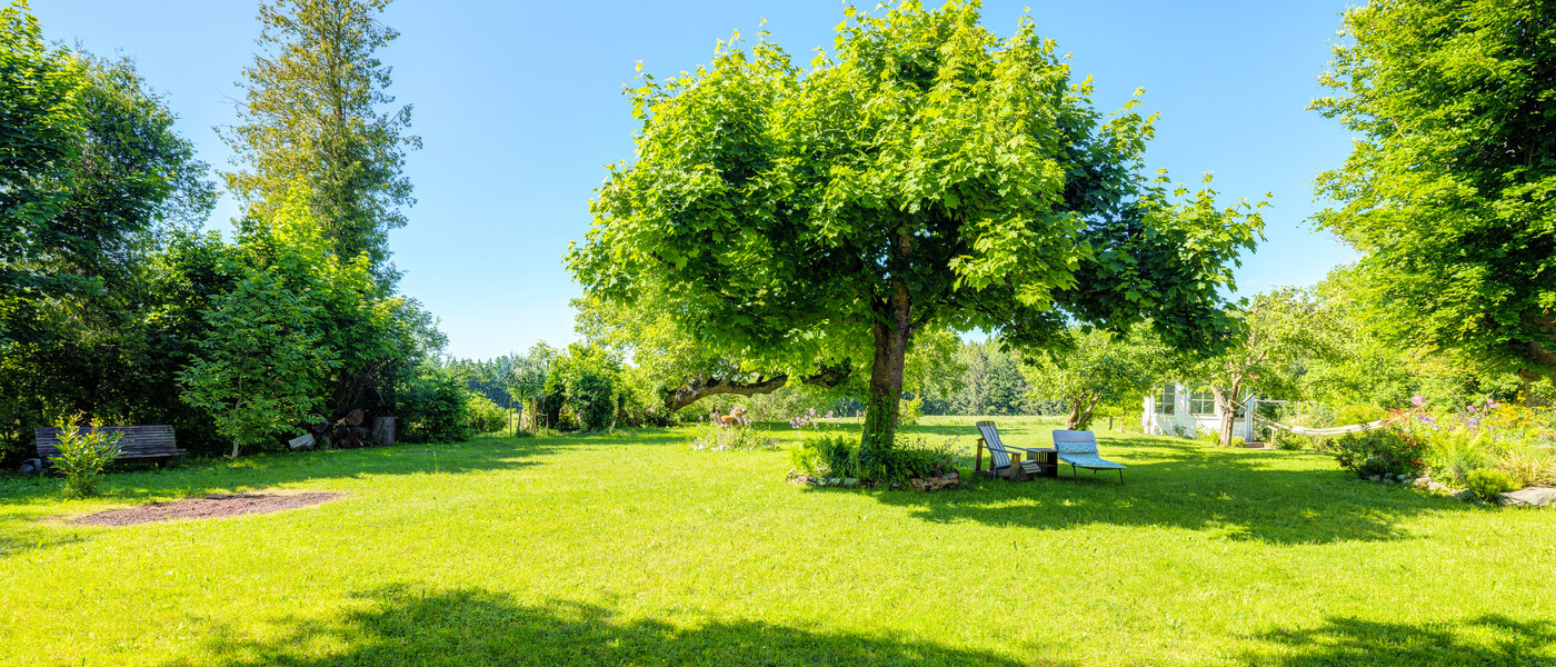 casa a schiera Icking 02 giardino 14465