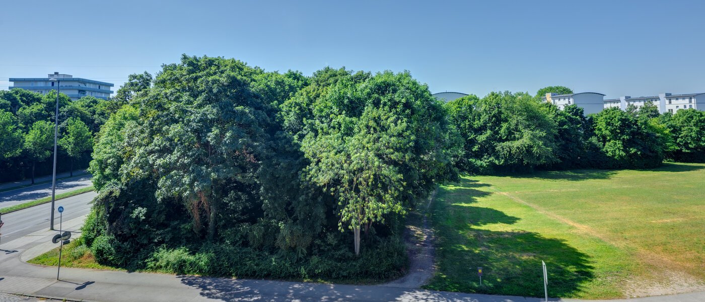 abitazione München Am Hart 01 vista 14506