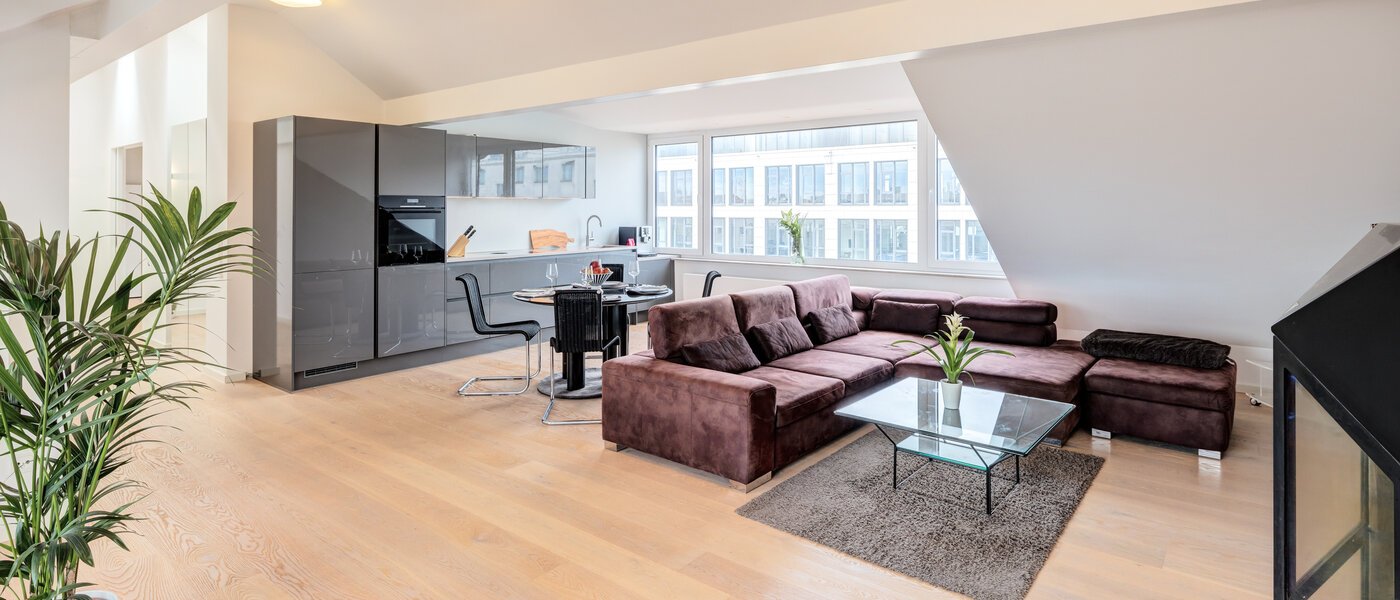 attico München Maxvorstadt 01 zona living 14568