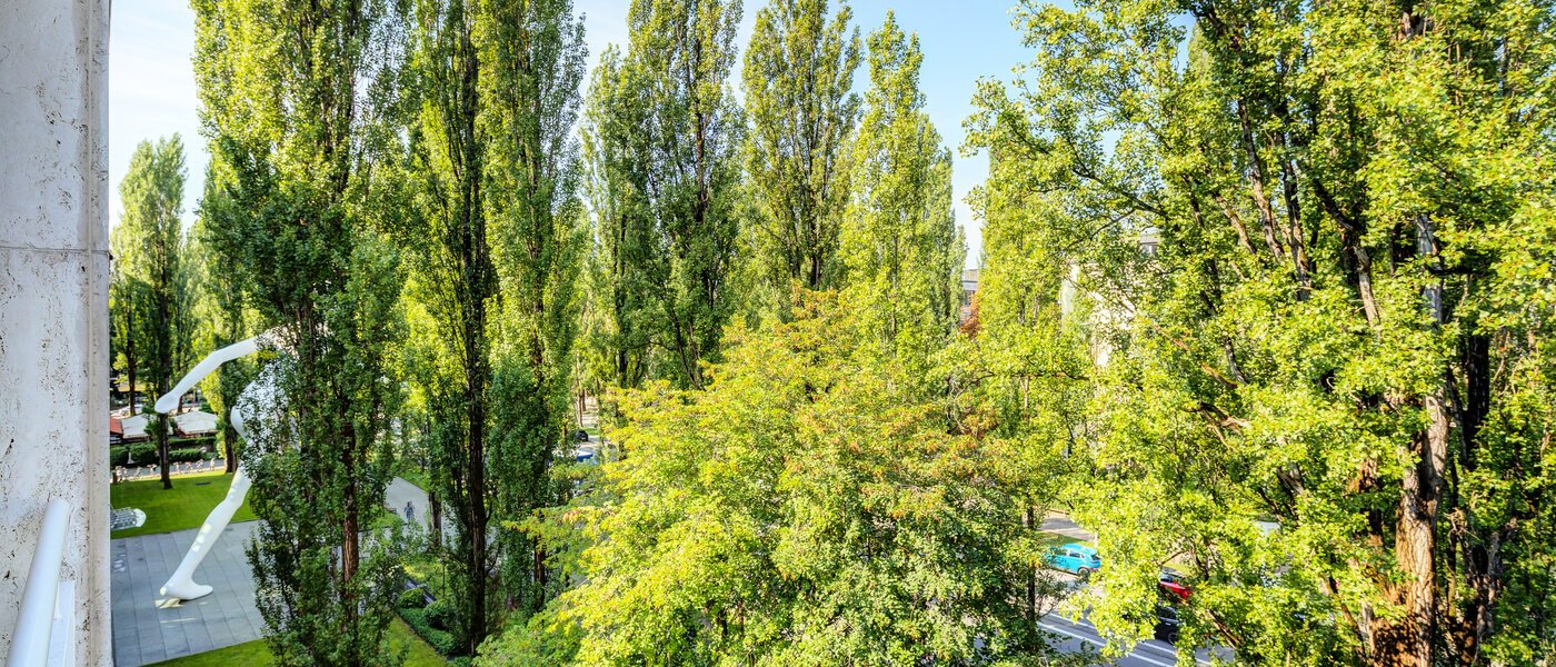 appartamento München Schwabing (rechts der Leopoldstraße) 02 vista 14569