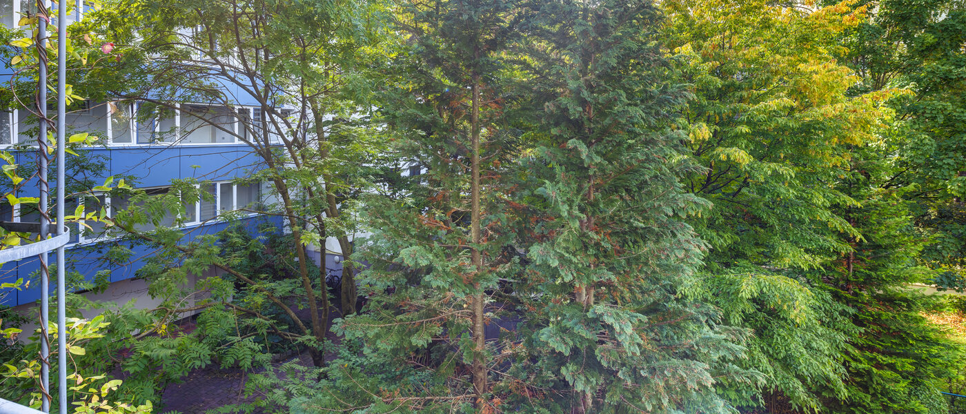 appartamento München Obergiesing 01 vista 14597