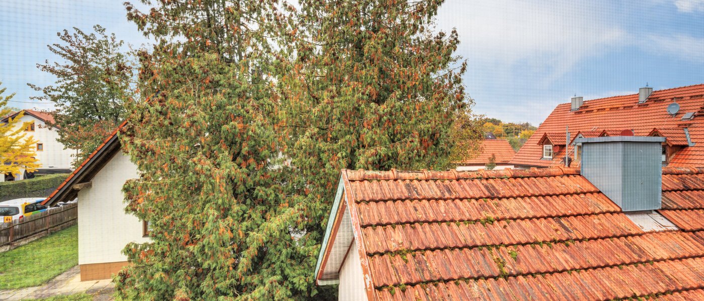 casa indipendente Ismaning 02 vista 14615