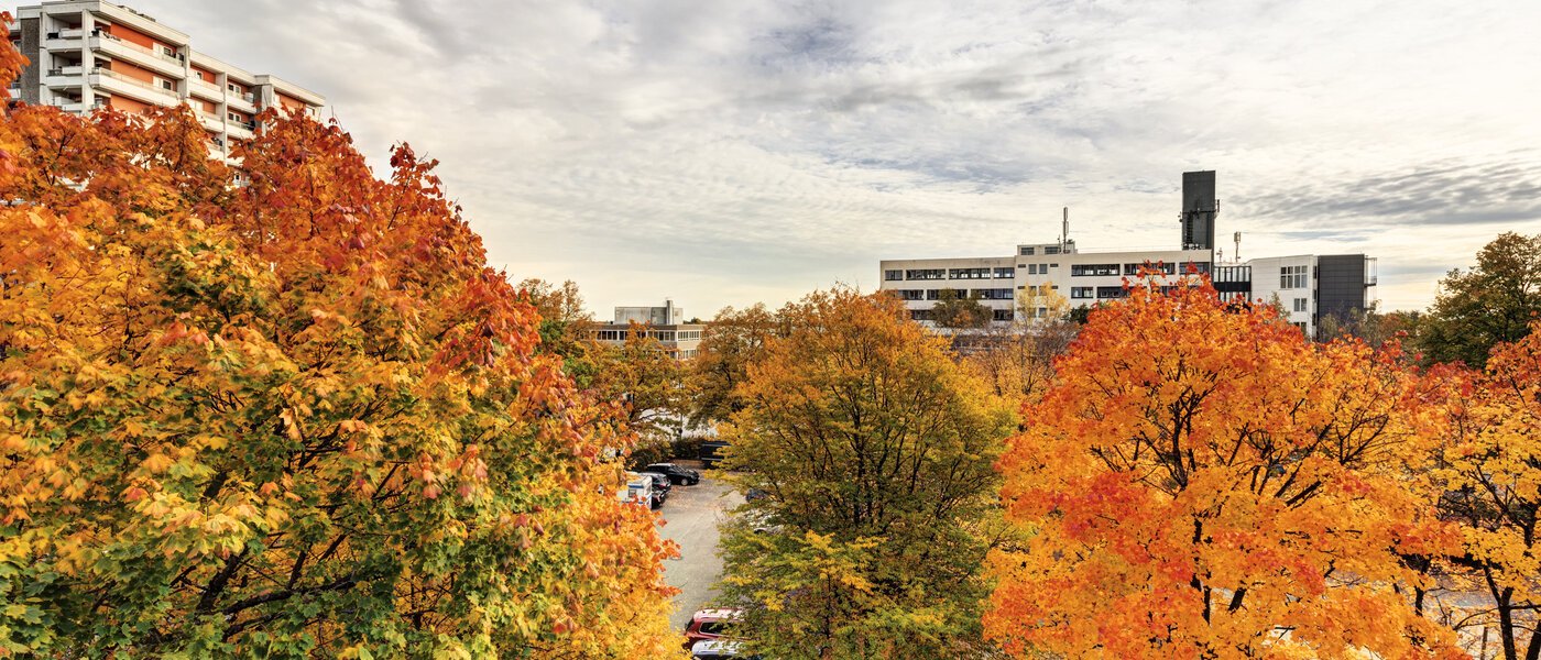 appartamento Taufkirchen 01 vista 14620