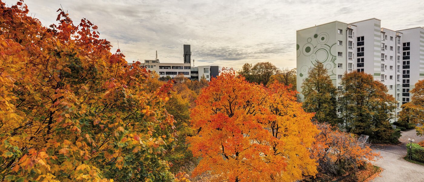 appartamento Taufkirchen 02 vista 14620