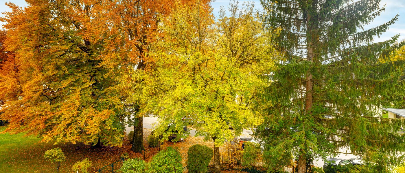 appartamento Grünwald 01 vista 14631