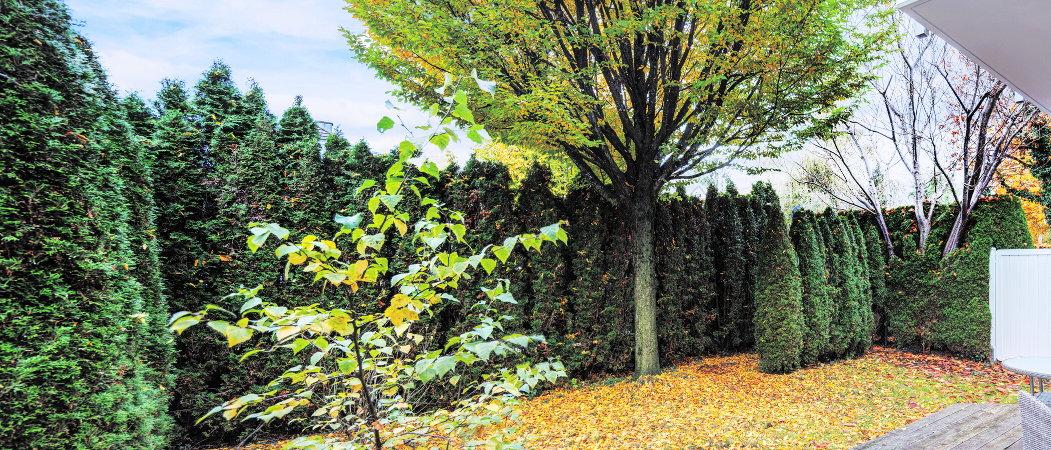 appartamento con giardino München Denning 01 giardino 14634
