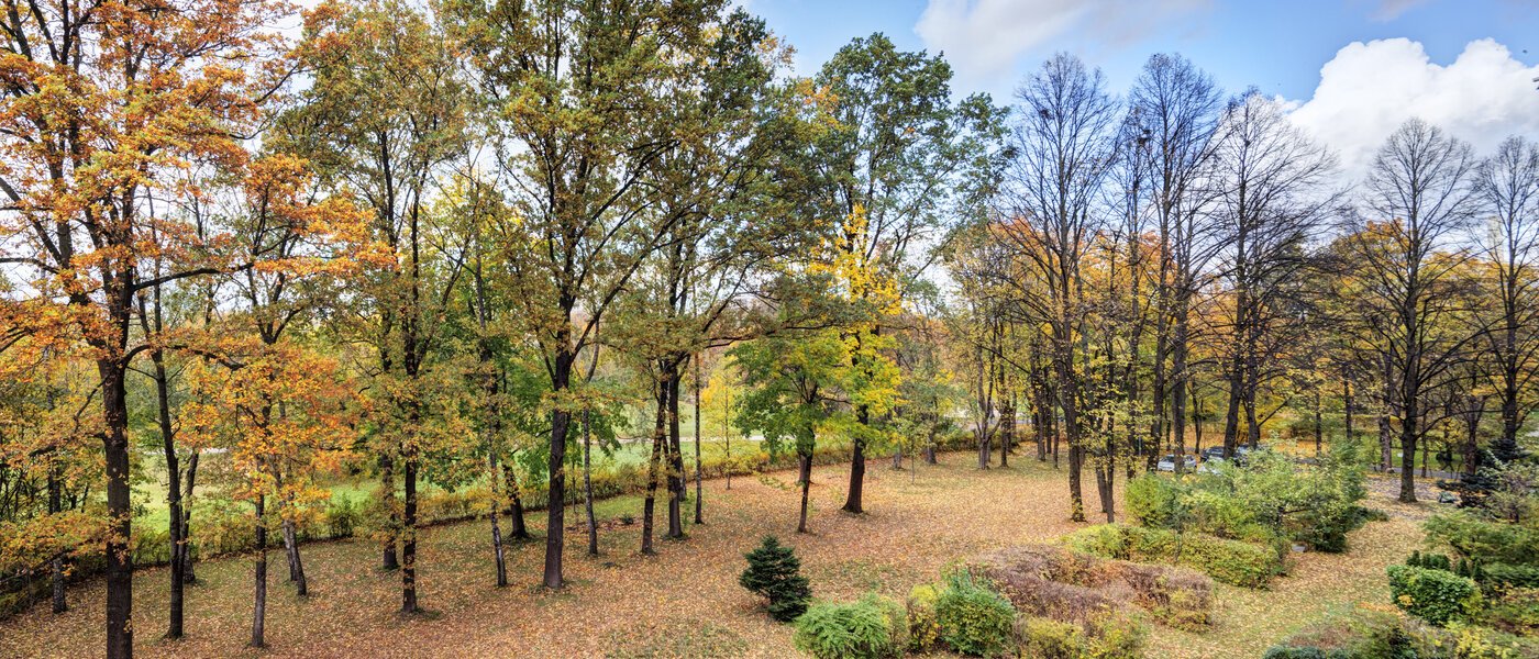 appartamento München Bogenhausen 01 vista 14639