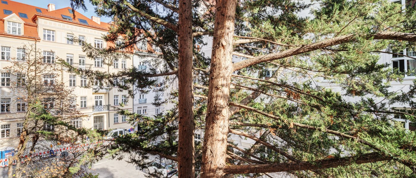 appartamento München Schwabing-West 02 vista 14646