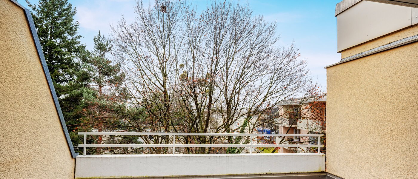 attico con terrazzo München Nymphenburg 02 1° terrazza sul tetto 14694