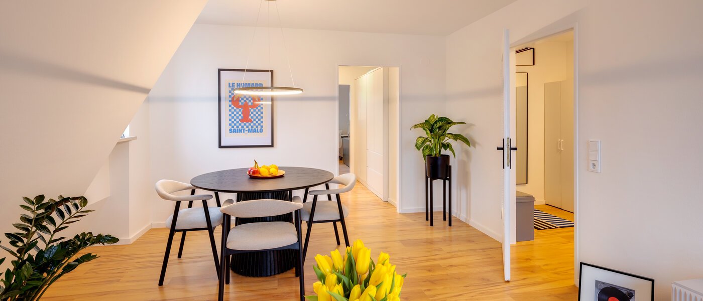 attico München Isarvorstadt 02 zona living 14762