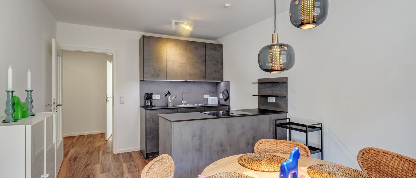 appartamento München Isarvorstadt 01 cucina 14764