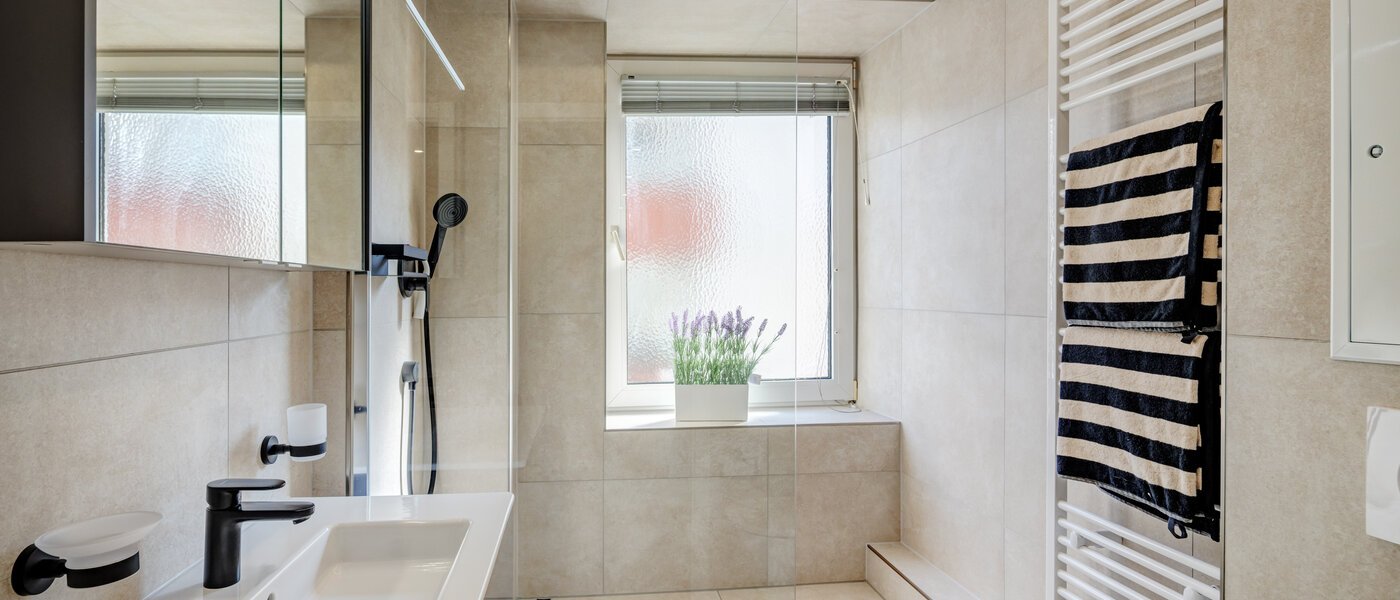 appartamento München Isarvorstadt 01 bagno 14764