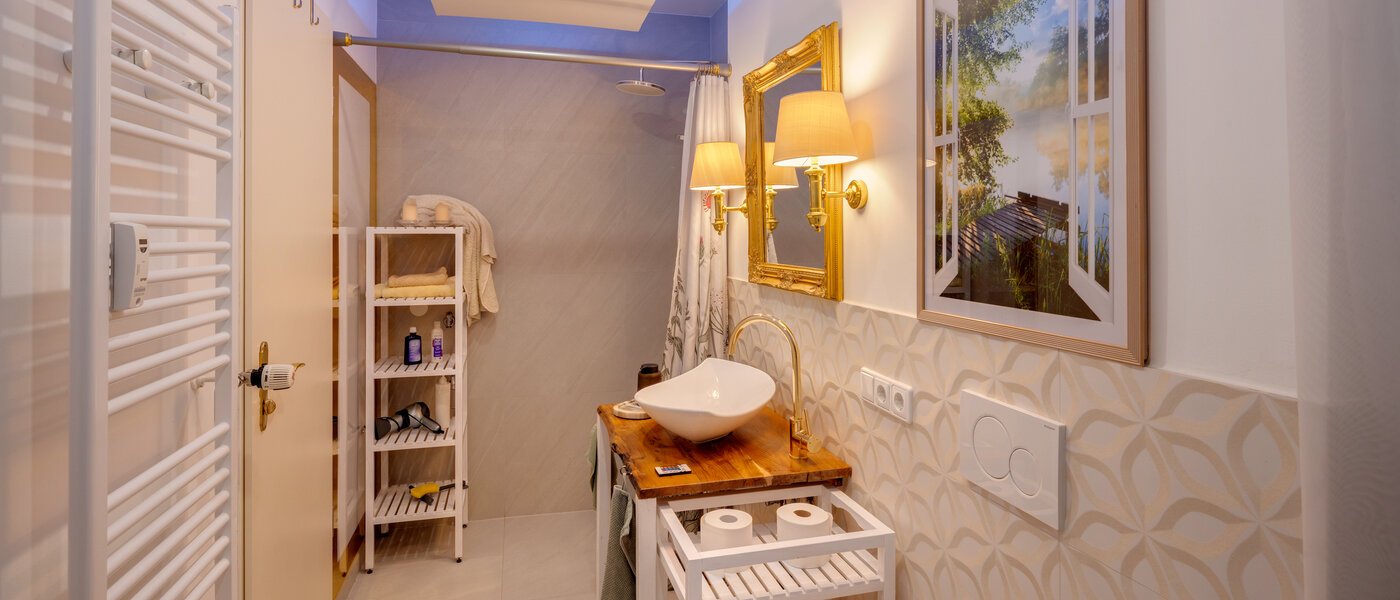 appartamento München Obermenzing 04 bagno 14782