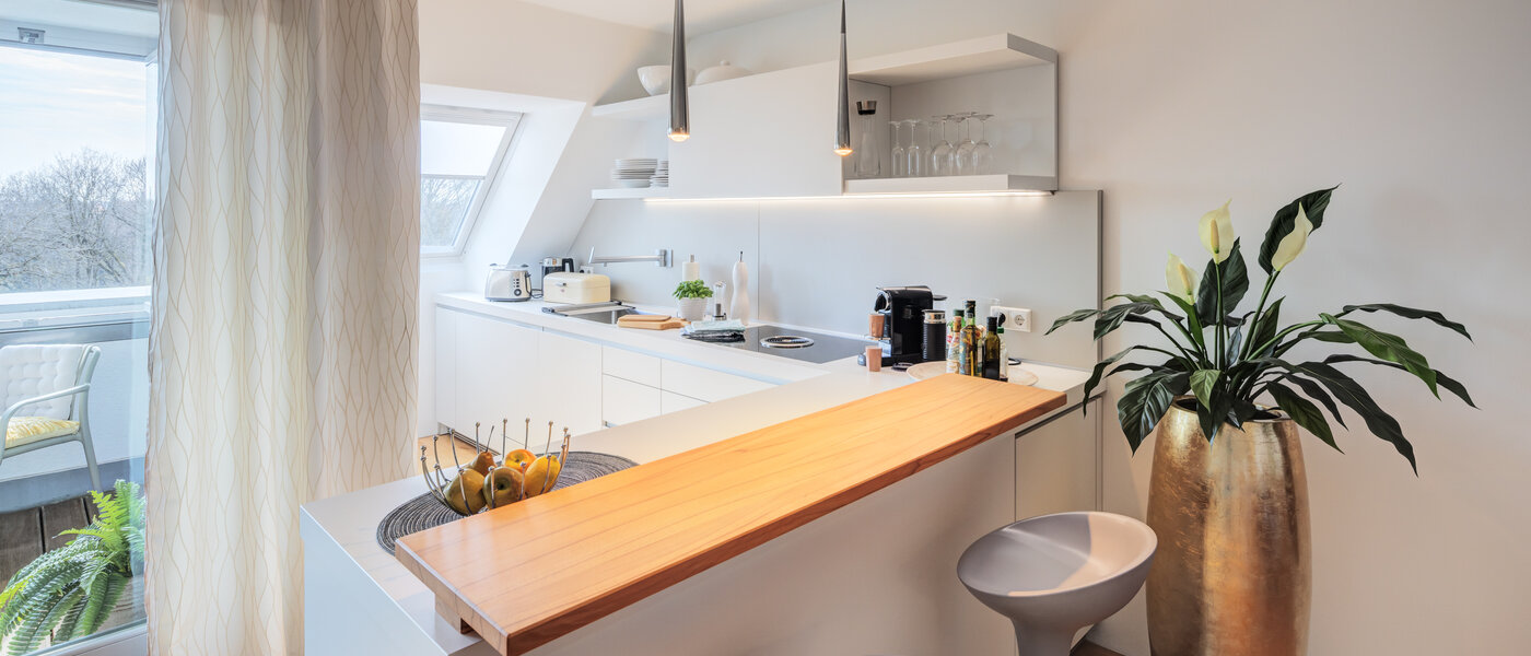 attico München Ludwigsvorstadt 01 cucina 14803